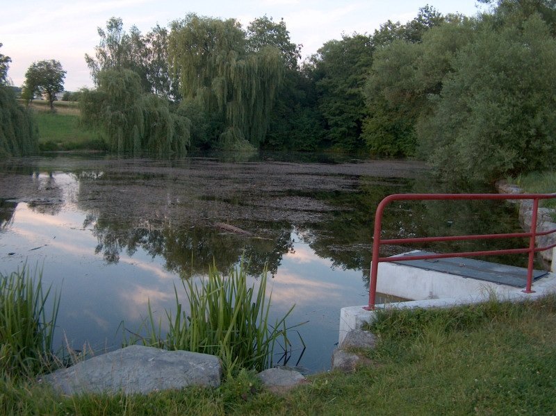 Eisweiher – Uferbereich